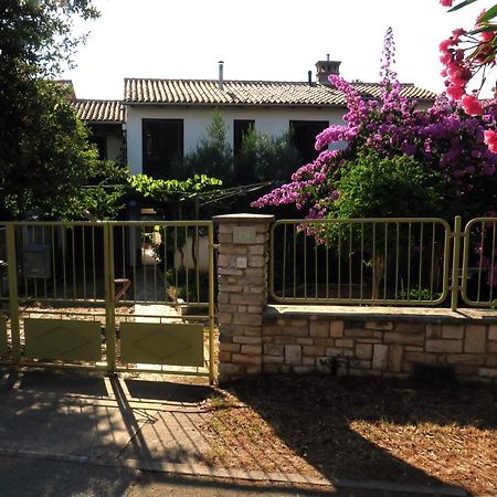 Apartament Elda Pula Zewnętrze zdjęcie